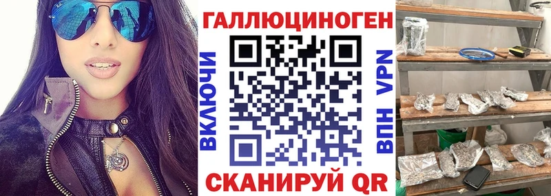 Галлюциногенные грибы Magic Shrooms  Купить закладки  Камень-на-Оби 